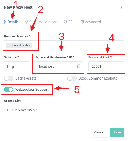 Nginx Proxy Manager